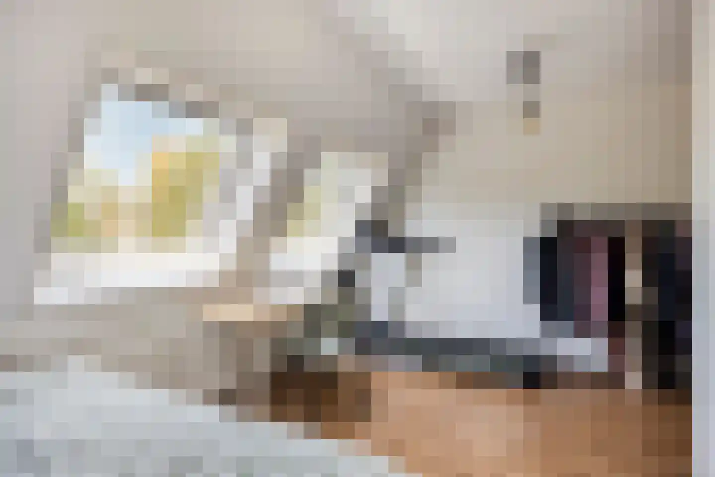 Lissenvaart 90 Zoetermeer thumbnail 23