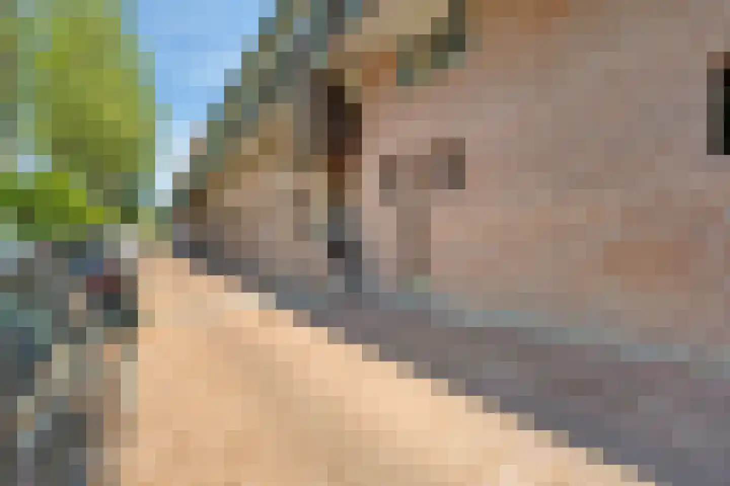 Lissenvaart 90 Zoetermeer thumbnail 37