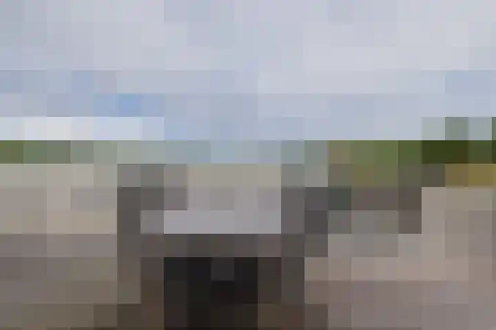Lisserdijk 27 Buitenkaag thumbnail 21