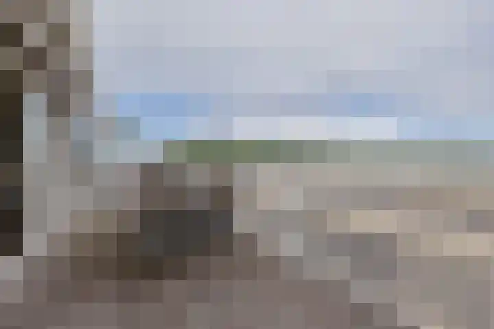 Lisserdijk 27 Buitenkaag thumbnail 22