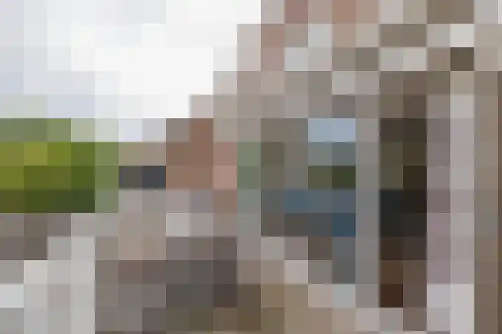 Lisserdijk 27 Buitenkaag thumbnail 23