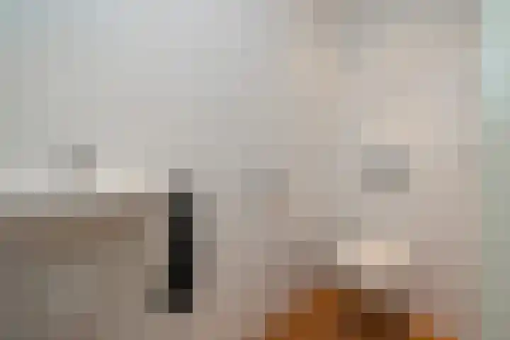 Lisserdijk 27 Buitenkaag thumbnail 27