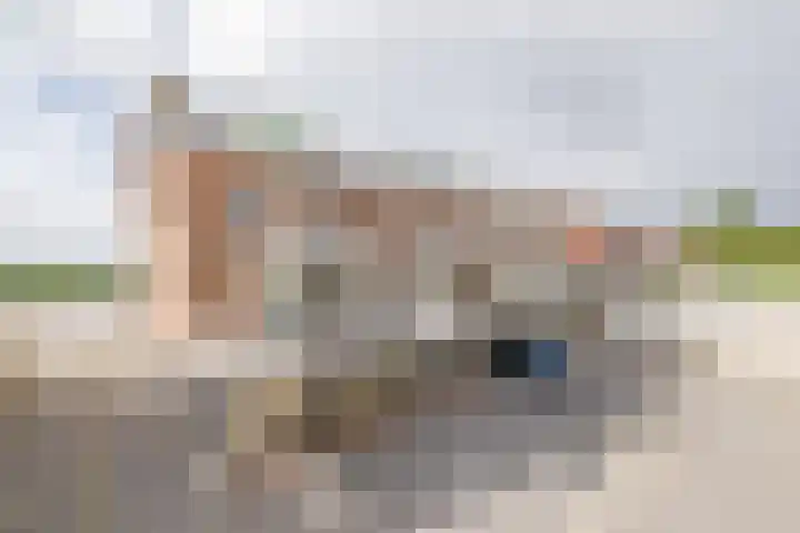 Lisserdijk 27 Buitenkaag thumbnail 55