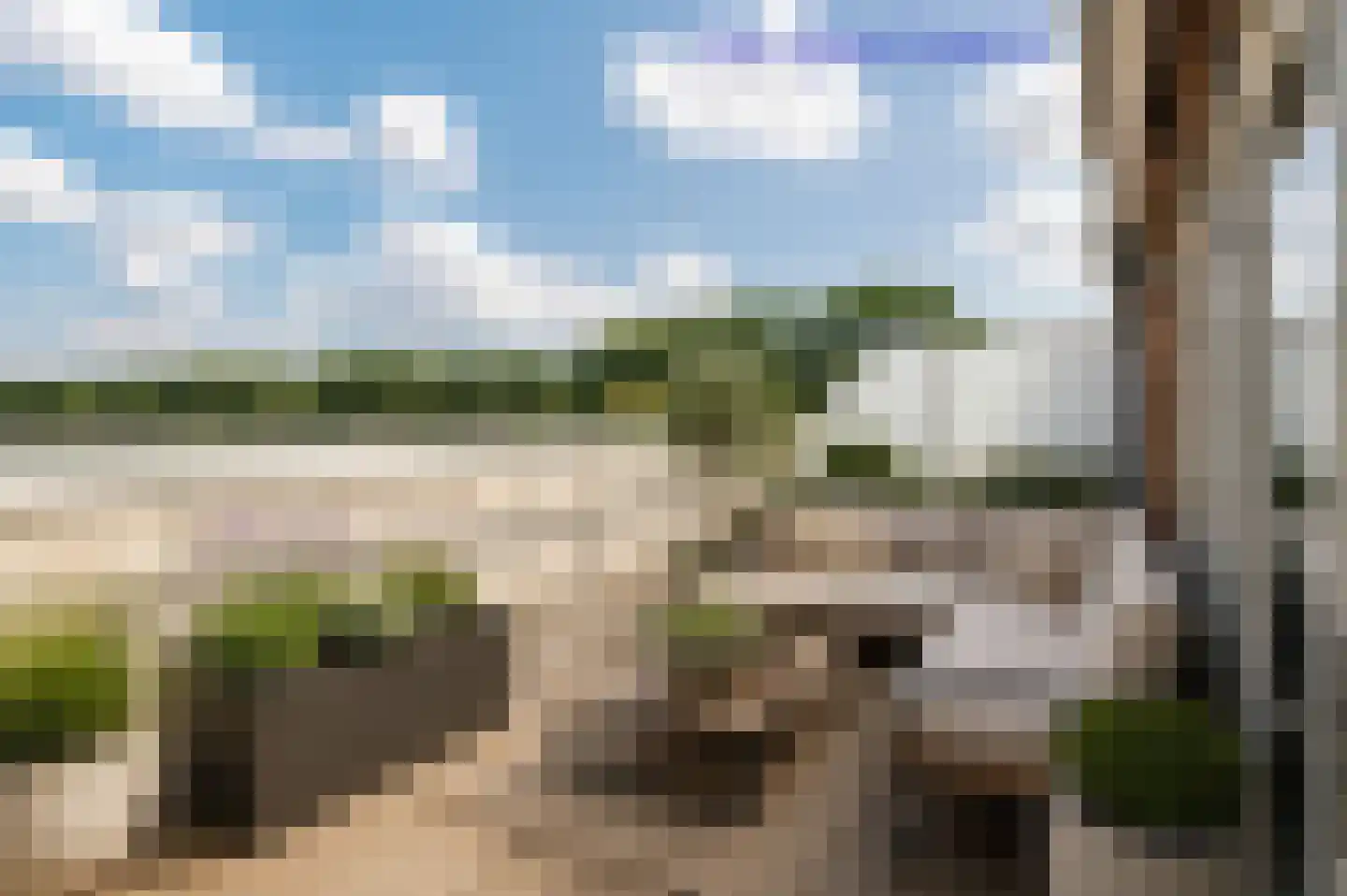 Lisserdijk 30 Buitenkaag thumbnail 41