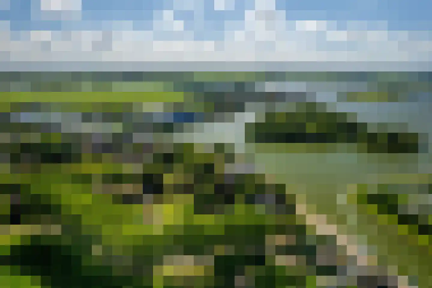 Lisserdijk 30 Buitenkaag thumbnail 78
