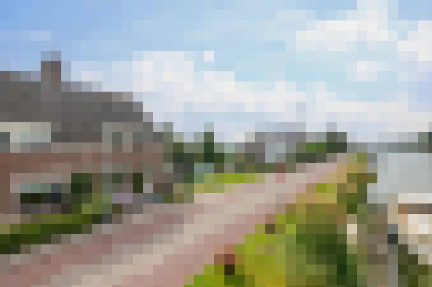 Lisserdijk 315 Lisserbroek thumbnail 4