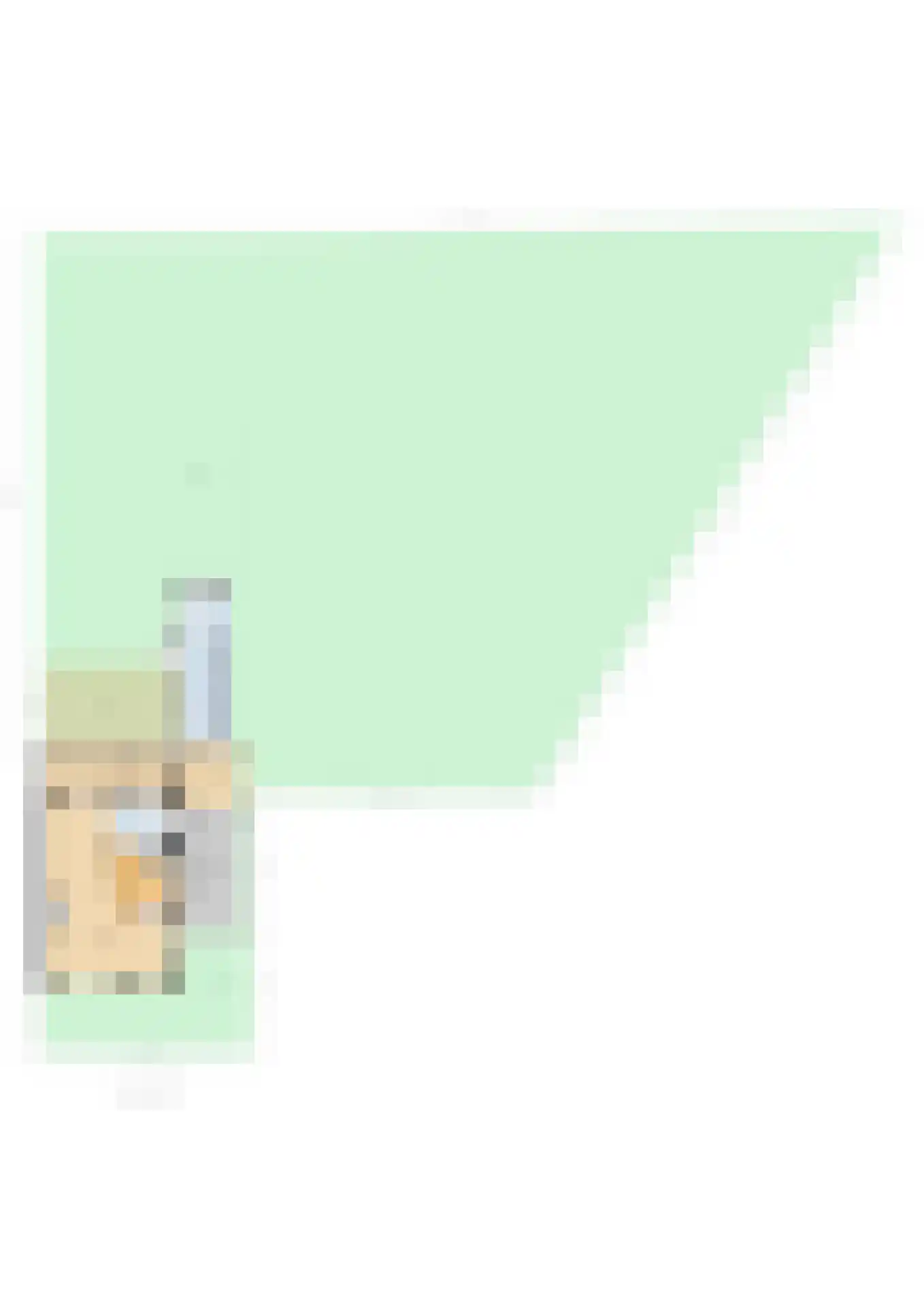 Lisserdijk 315 Lisserbroek thumbnail 76