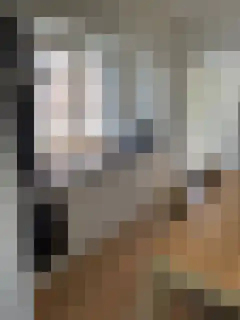 Lisserdijk 47 Buitenkaag thumbnail 4
