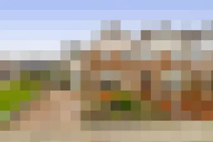 Lisserdijk 550 in Lisserbroek