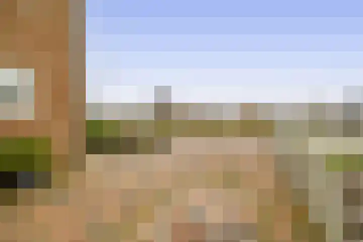 Lisserdijk 550 Lisserbroek thumbnail 4