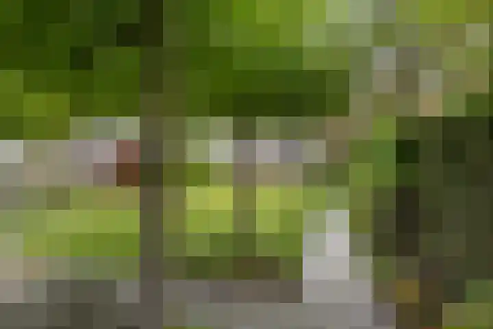 Lisserweg 20 Weteringbrug thumbnail 17
