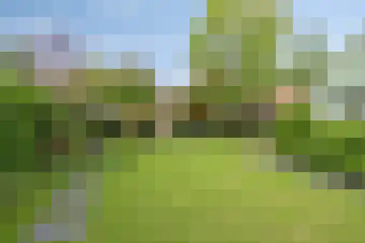 Lisserweg 20 Weteringbrug thumbnail 18
