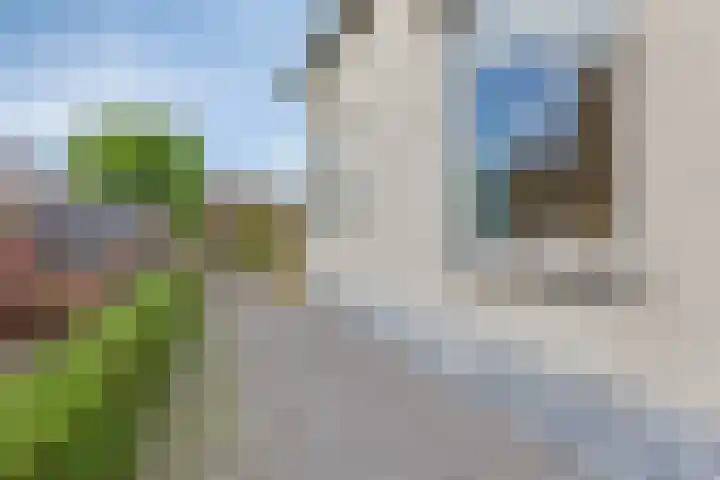 Lisserweg 20 Weteringbrug thumbnail 19
