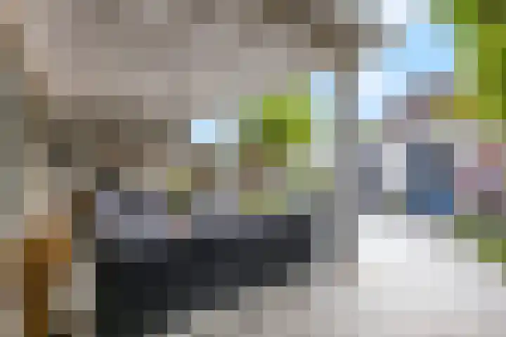 Lissestraat 11 Arnhem thumbnail 34