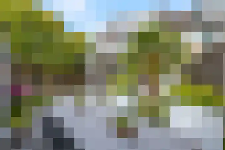 Lissestraat 11 Arnhem thumbnail 39