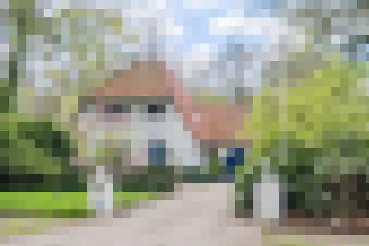 Lissevenlaan 3 in Waalre