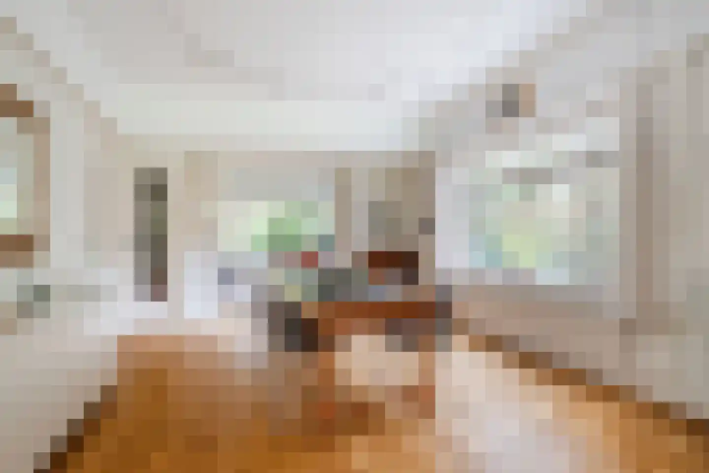 Lissevenlaan 3 Waalre thumbnail 21