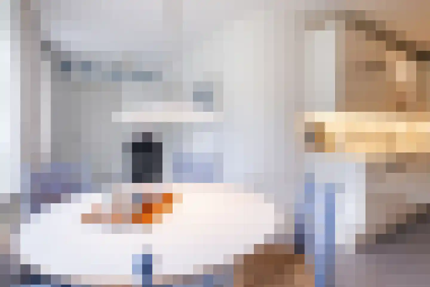 Lissevenlaan 3 Waalre thumbnail 26