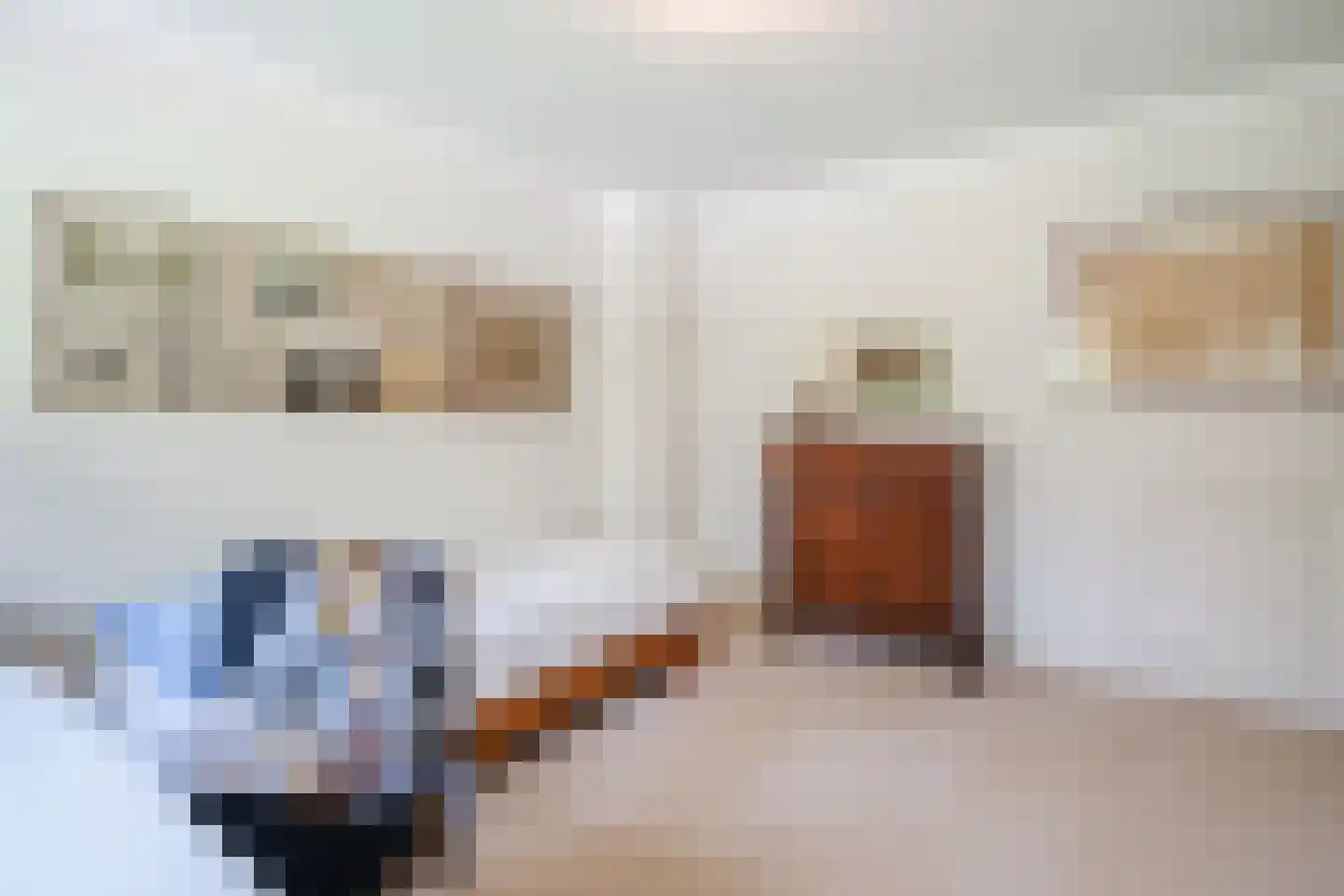 Lissevenlaan 3 Waalre thumbnail 46