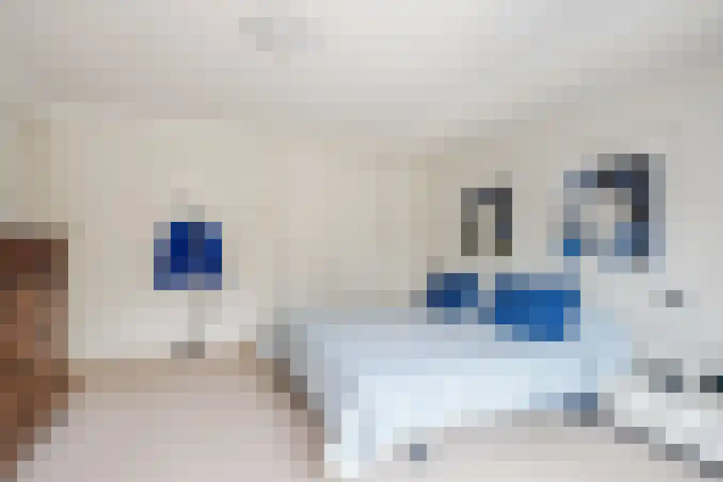 Lissevenlaan 3 Waalre thumbnail 47