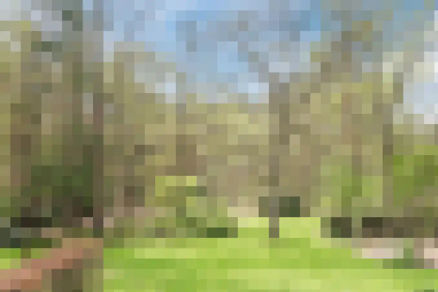 Lissevenlaan 3 Waalre thumbnail 56