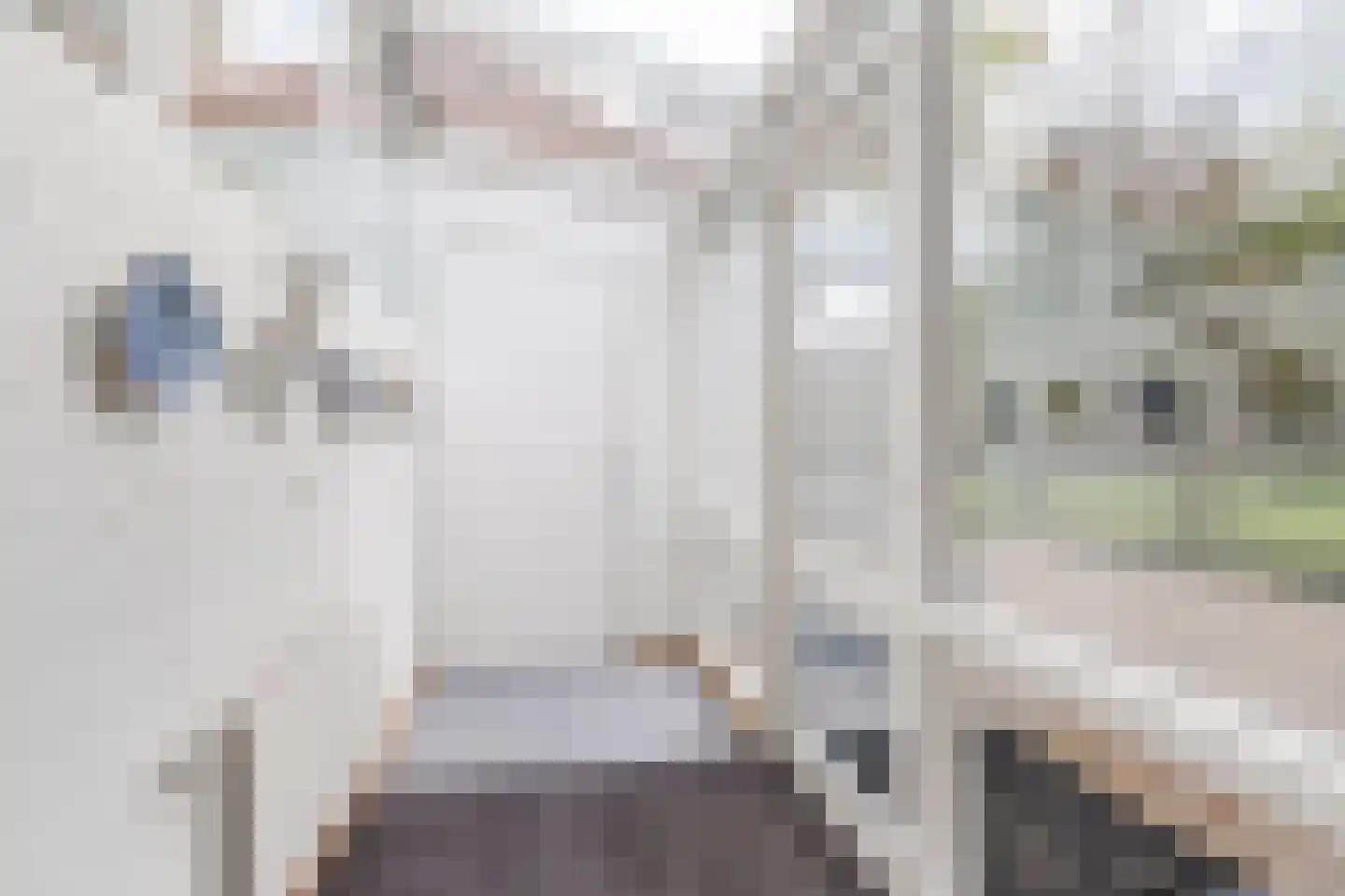 Lissevenlaan 3 Waalre thumbnail 57