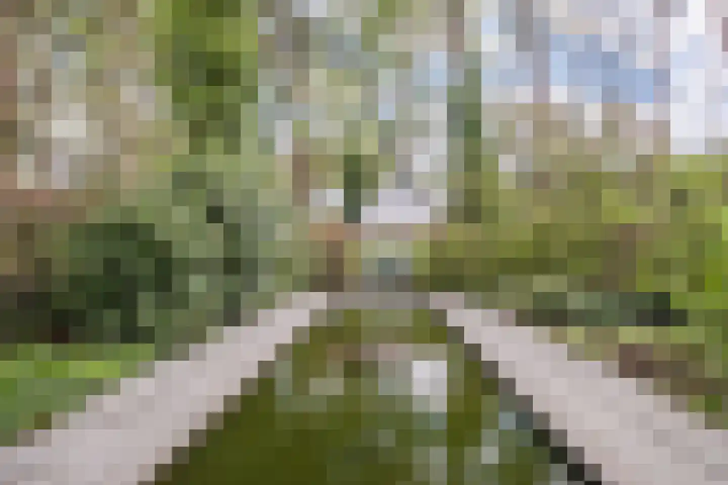 Lissevenlaan 3 Waalre thumbnail 58