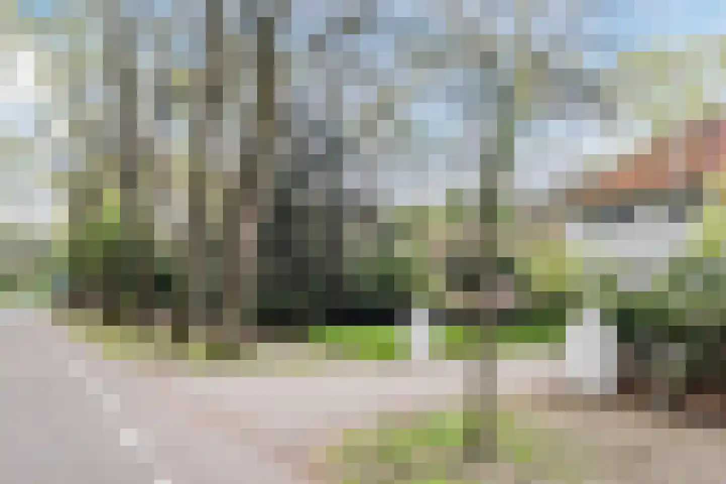 Lissevenlaan 3 Waalre thumbnail 6