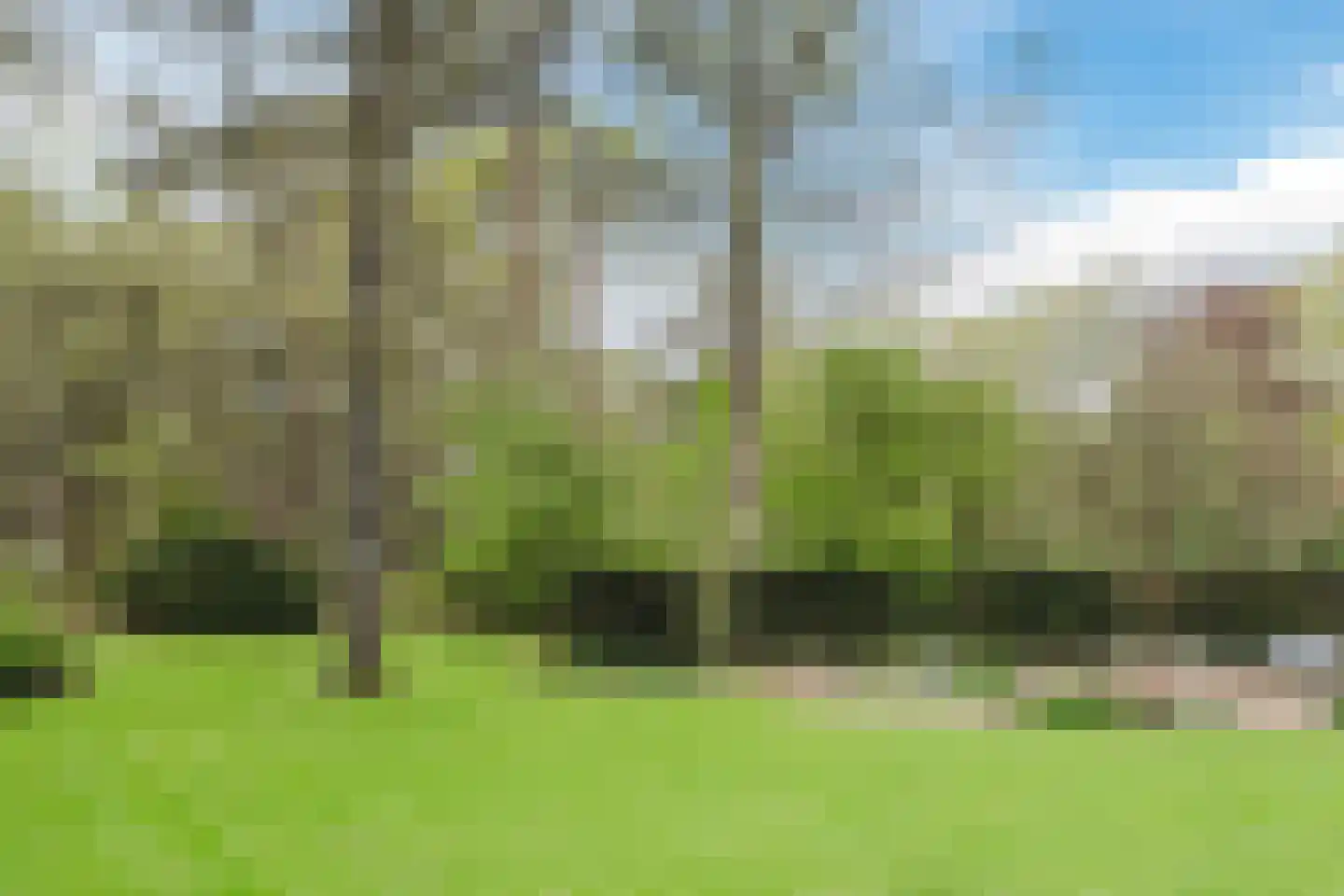 Lissevenlaan 3 Waalre thumbnail 62