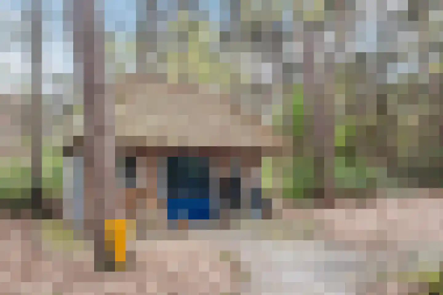 Lissevenlaan 3 Waalre thumbnail 64