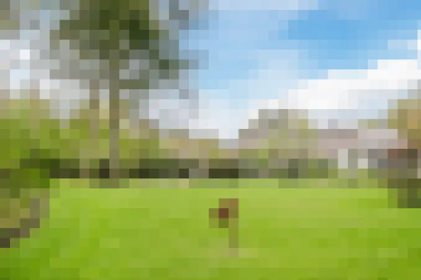 Lissevenlaan 3 Waalre thumbnail 68