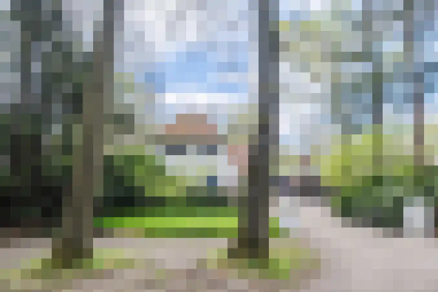 Lissevenlaan 3 Waalre thumbnail 7