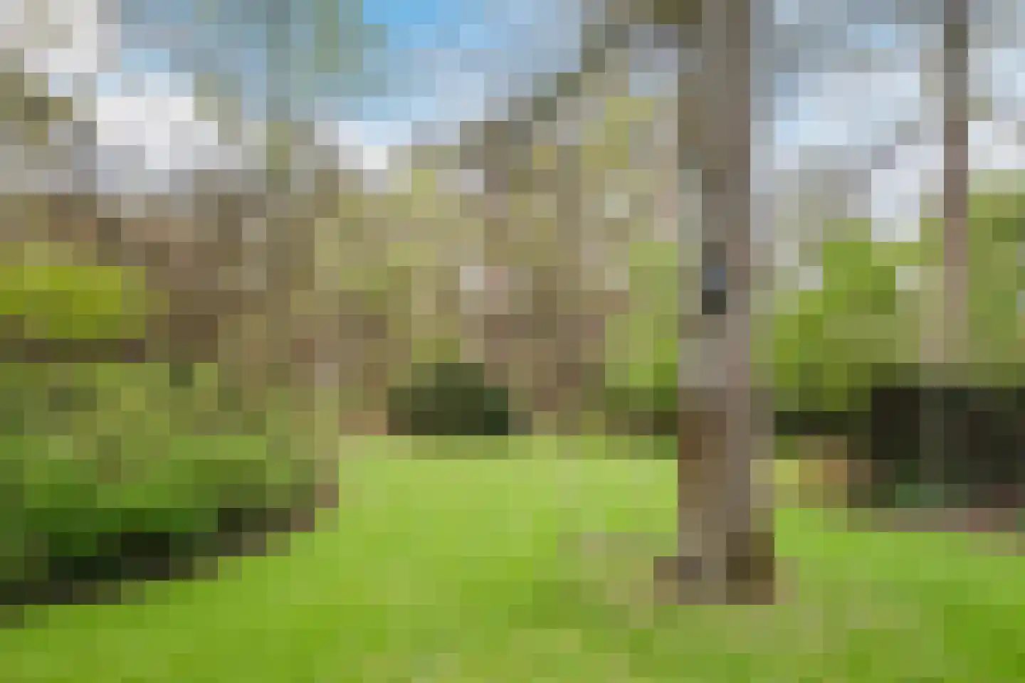 Lissevenlaan 3 Waalre thumbnail 70