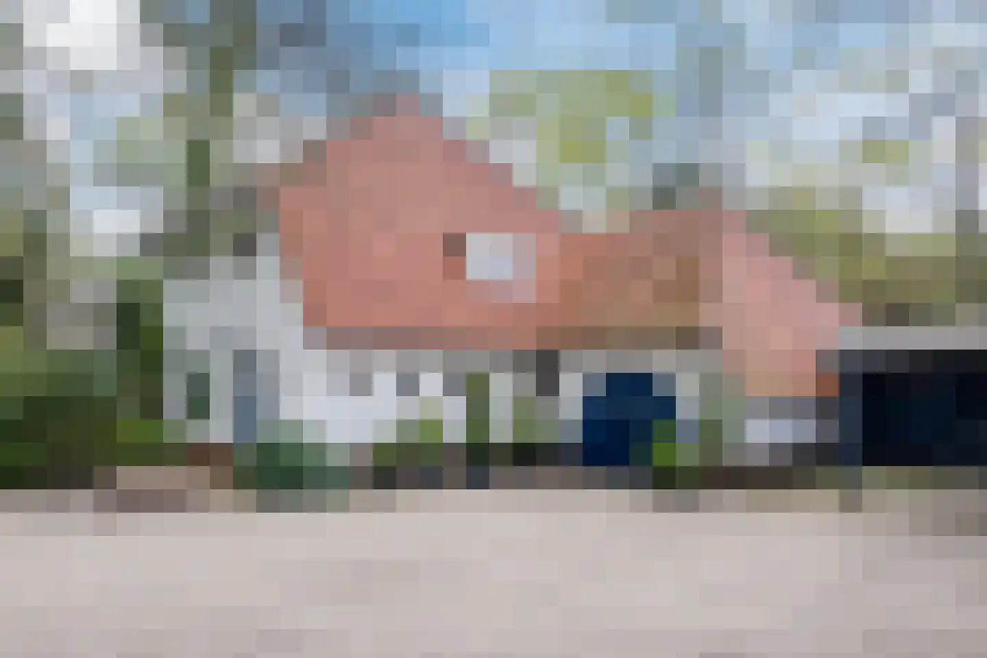 Lissevenlaan 3 Waalre thumbnail 9