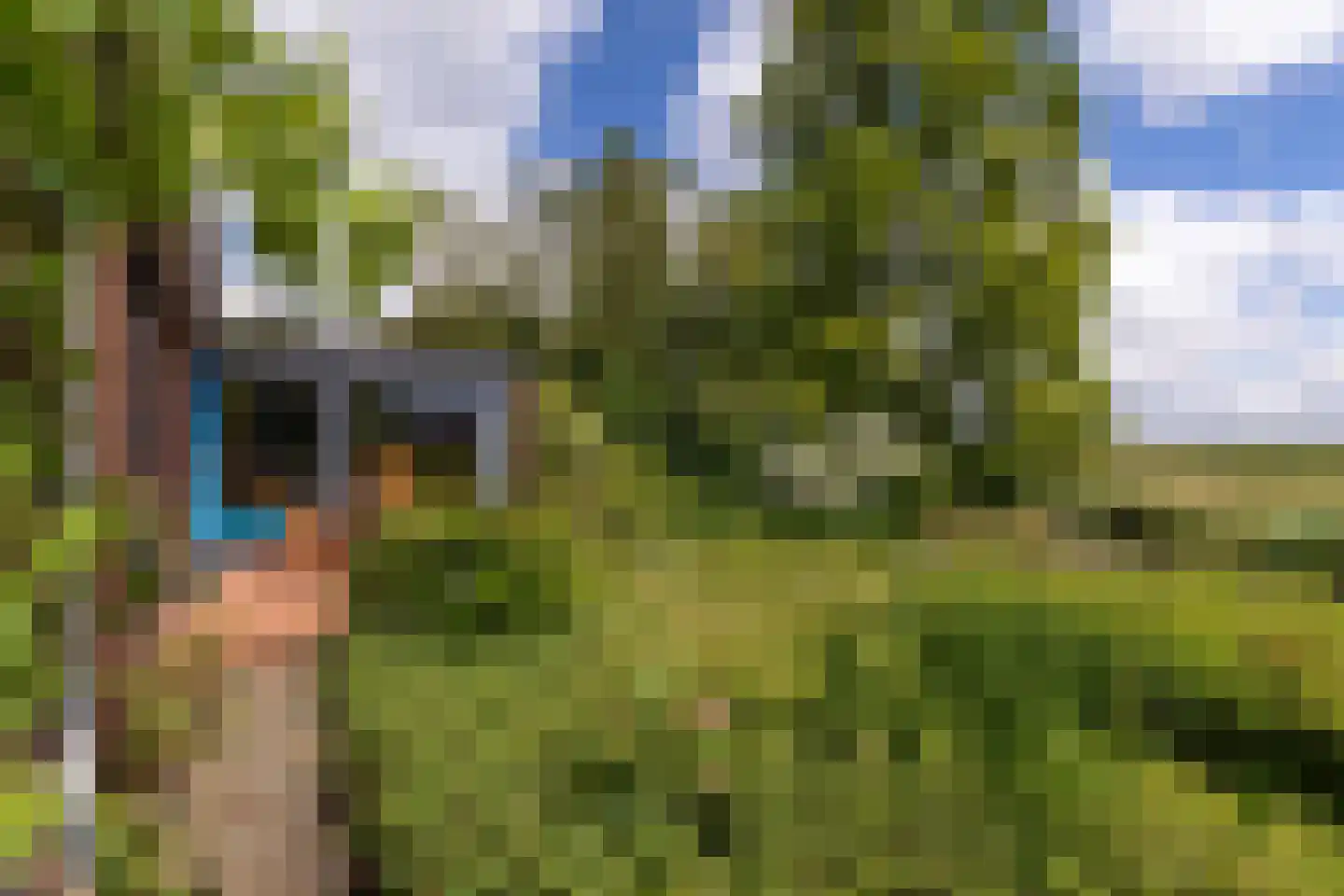 Lisstraat 16 Landsmeer thumbnail 31