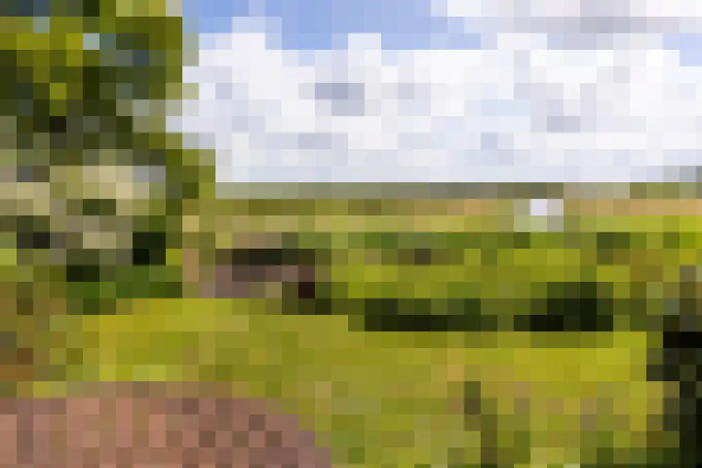 Lisstraat 16 Landsmeer thumbnail 32