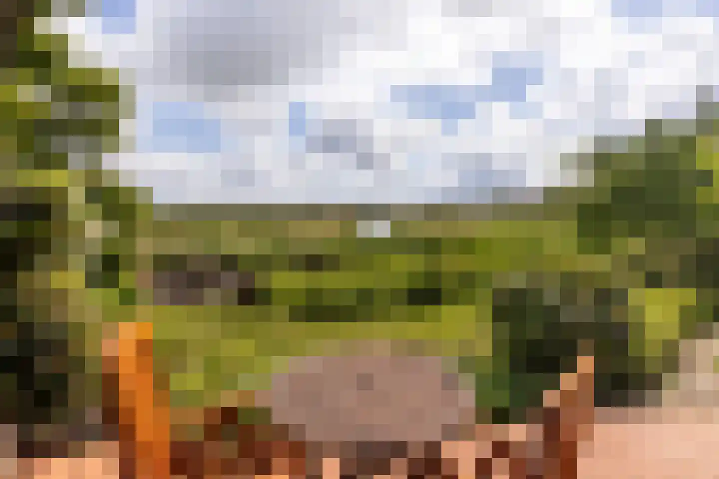 Lisstraat 16 Landsmeer thumbnail 33
