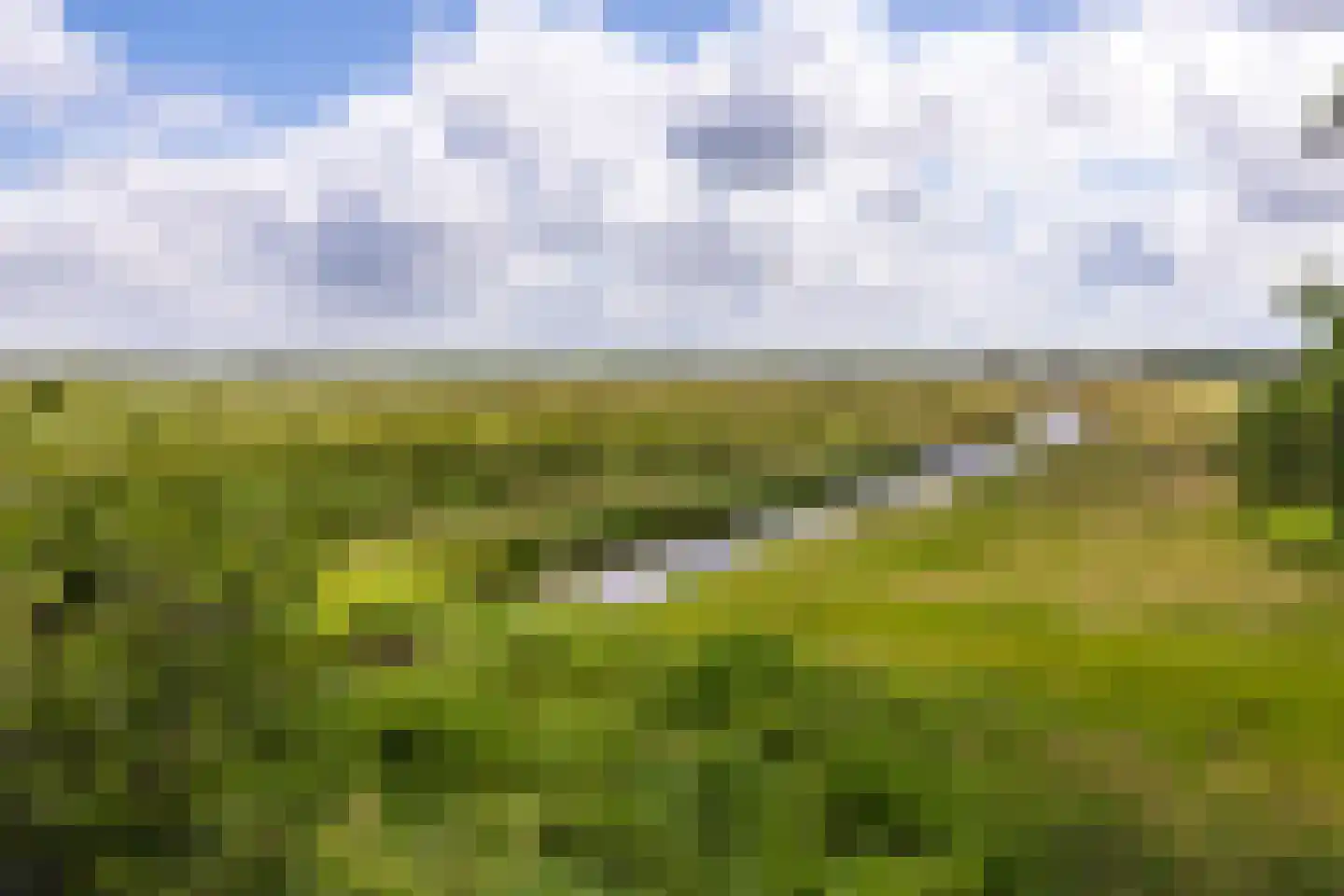 Lisstraat 16 Landsmeer thumbnail 39