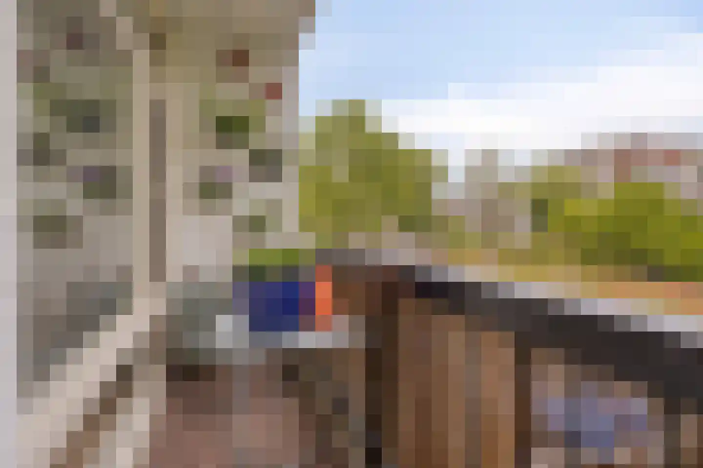 Lisstraat 24 B 03 Rotterdam thumbnail 10