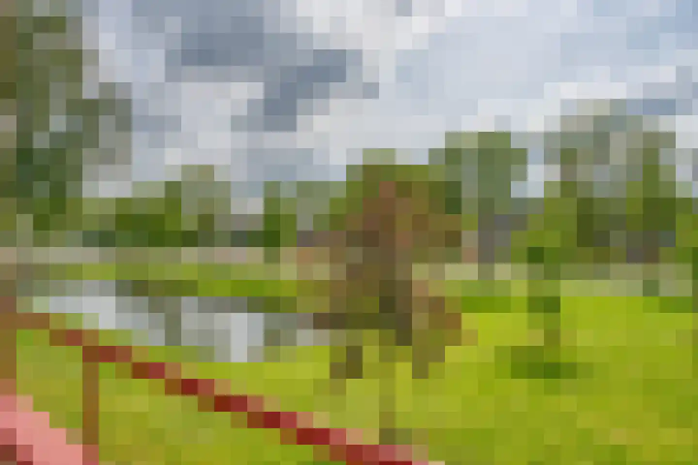 Lisstraat 26 Zwijndrecht thumbnail 30