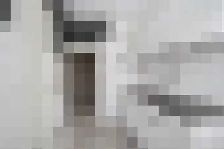Lisstraat 3 Zwijndrecht thumbnail 13