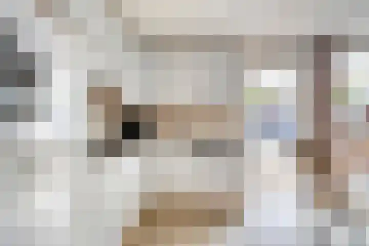 Lisstraat 32 Oisterwijk thumbnail 12