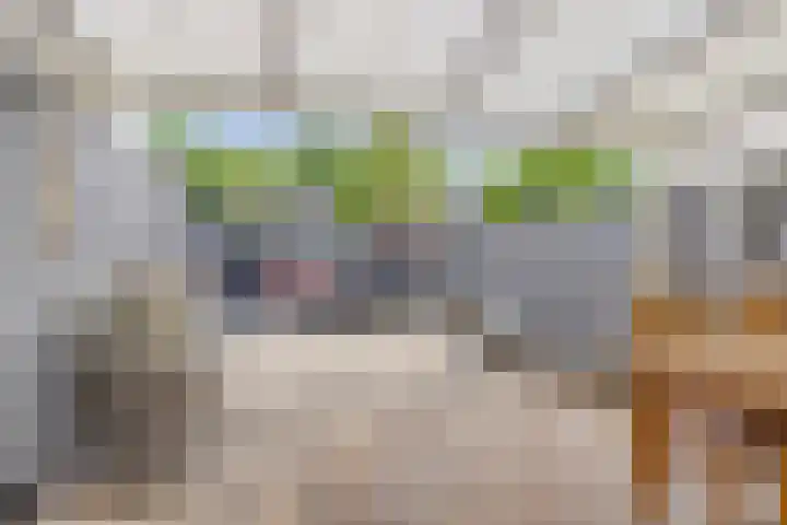 Lisstraat 32 Oisterwijk thumbnail 22