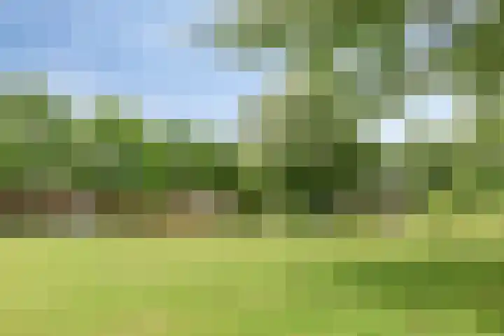 Lisstraat 32 Oisterwijk thumbnail 28