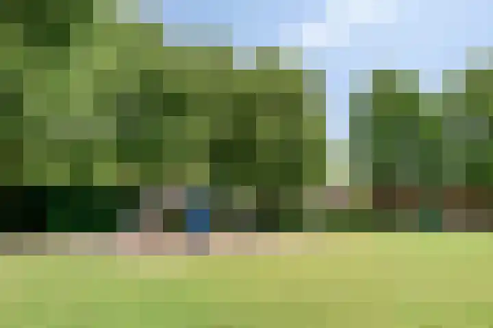 Lisstraat 32 Oisterwijk thumbnail 29