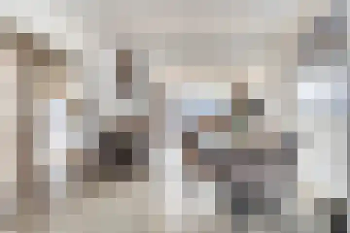 Lisstraat 32 Oisterwijk thumbnail 7