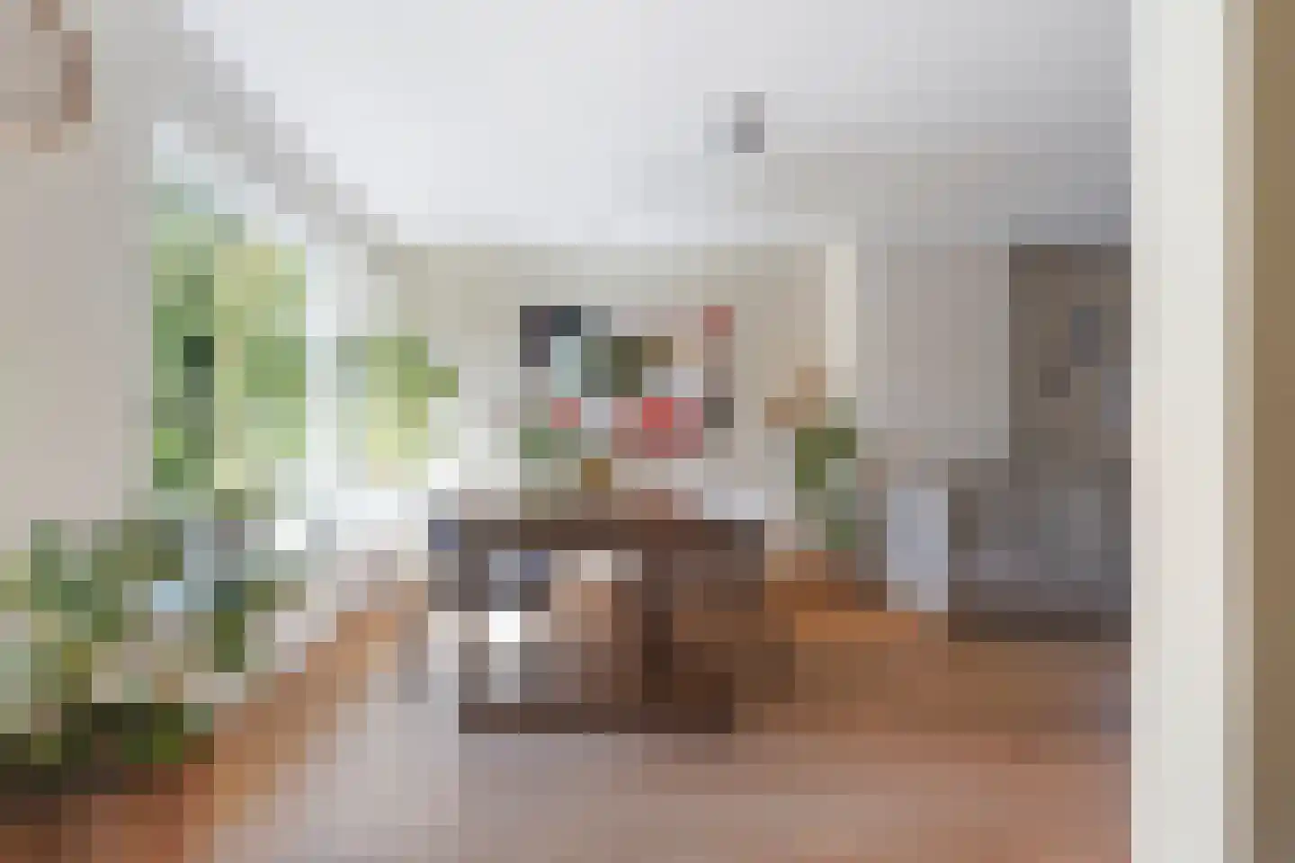 Lisstraat 33 Oisterwijk thumbnail 21