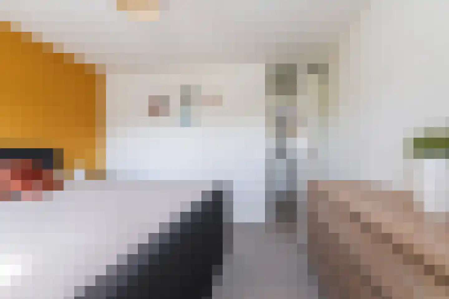 Lisstraat 33 Oisterwijk thumbnail 30