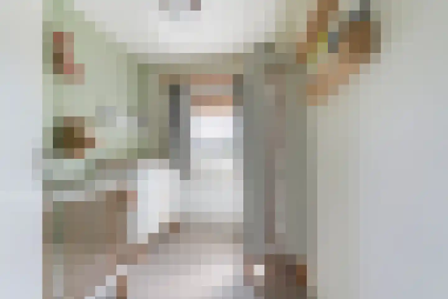 Lisstraat 33 Oisterwijk thumbnail 31