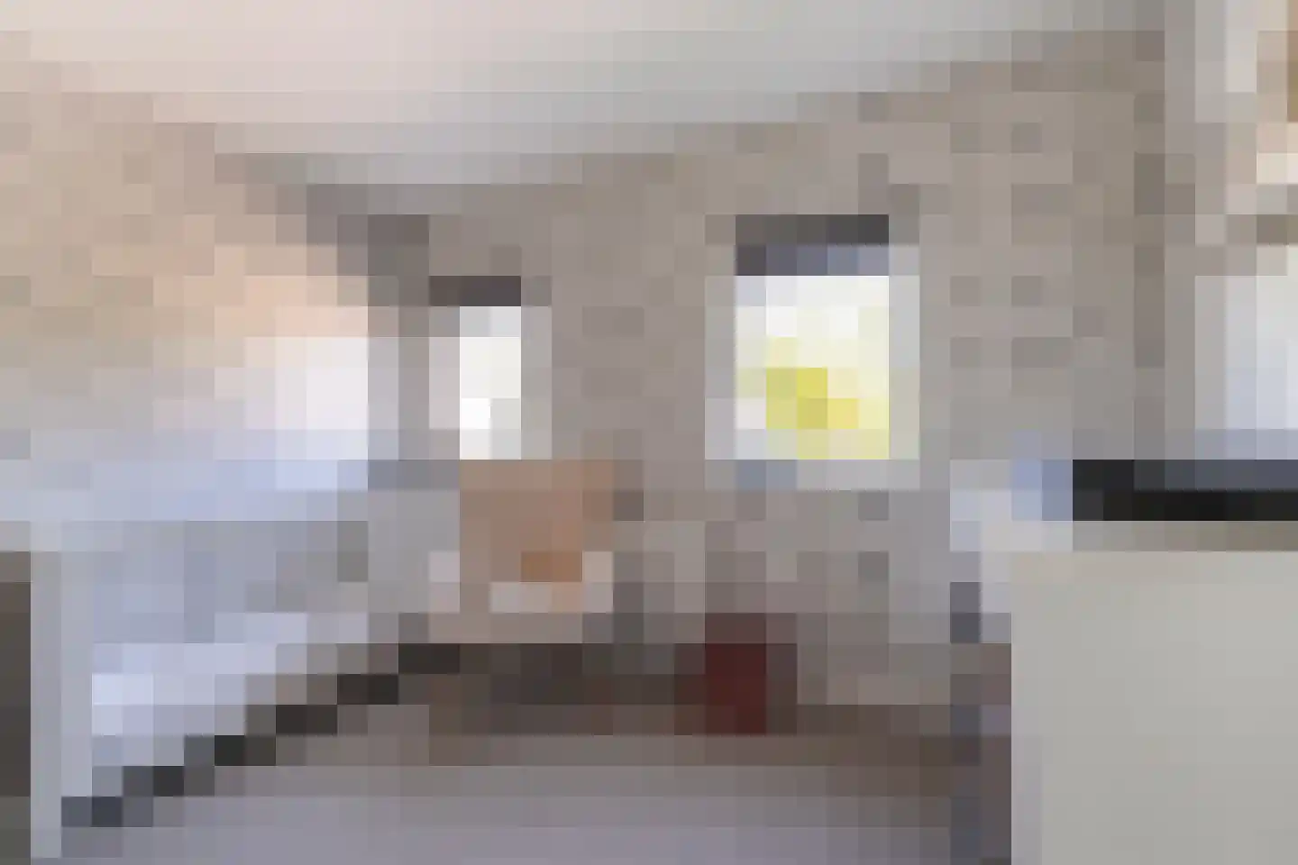 Lisstraat 33 Oisterwijk thumbnail 35